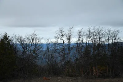 DSC_0149 (Large).JPG